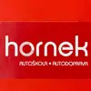 Ivan Hornek - @ivan.hornek - TikTok