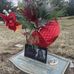 Ivan Moss - Facebook
