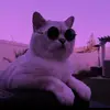 wolfiva - @wolfiva - TikTok