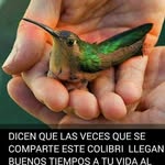 ivan almonte - @ca_rlos7171 - Instagram