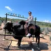 Ivan Almonte - @ivanalmonte0 - TikTok