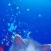Ivan Aquino - Facebook