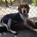 Ivan Arreola - Facebook