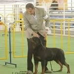 Ivan Arreola - @arreola7626 - Instagram
