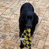 Ivan Bell - @ivan.bell44 - TikTok