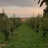 Іван Білич - @ivanbilic8 - TikTok