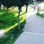 Ivan Bradarić - @ivan.bradaric.396 - Instagram