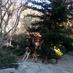 Ivan Casas - @ivan__casas - Instagram