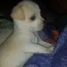 Ivan Casas - @ivancasas70 - TikTok
