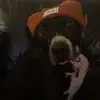 Ivan Casas - @ivancasas37 - TikTok