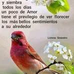 Ivan Coy Patiño - Facebook
