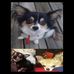 Ivan Eller - Facebook