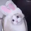 Bdoei fjeh kcnsh - @ivanellison558061 - TikTok