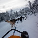 Øystein Ivan Eriksen - @oysteinivan - Instagram