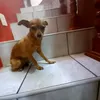 Ivan Escalera - @pucaescalera0 - TikTok