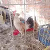 Ivan Escalera - @ivan.escalera34 - TikTok