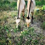 Ivan Escudero - @ivanescudero_80 - Instagram