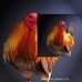 Ivan Espinoza - Facebook