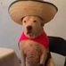 Ivan Estrella - Facebook