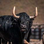 Ivan Estrella - @fotografia_ivanestrella - Instagram