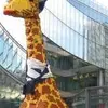Ivan Fang - @30641004569 - TikTok
