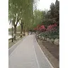 Ivan Fang - @31214310089 - TikTok