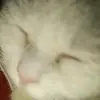 Ivan Fang - @ivan.fang2 - TikTok