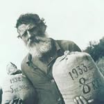 Ivan the Cabbage Farmer - @ivan_the_cabbage_farmer - Instagram