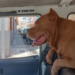 Ivan Febles Batista - @feblesbatistaivan - Instagram