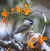 Ivan Ferrara - Facebook