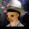 Ivan Ferreira - @ivanferreira95 - TikTok