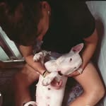 𝕴𝖛𝖆𝖓 𝕱𝖊𝖗𝖗𝖊𝖗 - @ivanferloz - Instagram