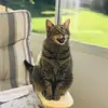 Ivanna Ferris - @ivannaferris - TikTok