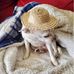 Ivan Finch - Facebook