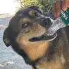 ivan_finn - @ivan_finn - TikTok