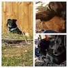 Ivan Fitch - @ivan.fitch3 - TikTok