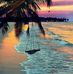 Ivan Fragoso - Facebook