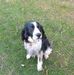 Ivan Fraser - Facebook