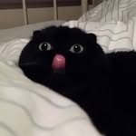 IvanFraserHayes - @ivhayes0927 - Instagram