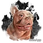Iván Drago frenchie - @frenchieivandrago - Instagram