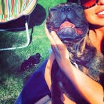 Ivan - @ivan.the.frenchie - Instagram