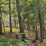 IvanFrench - @ivanfrench73 - Instagram