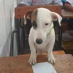 Ivan Fritz - Facebook