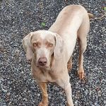 Ivan Fritz - @ivan.fritz.142 - Instagram
