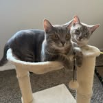 The boys: Ivan & Fritz - @ivanfritz100 - Instagram