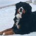 Ivan Harris - Facebook