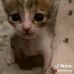 Ivan Harris Quillos - Facebook