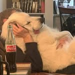 Ivan P. - @ivan.master_ - Instagram