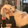ivan.master_ - @ivan.master_ - TikTok