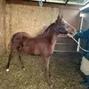 Ivan Munoz - @ivanmunoz39 - TikTok
